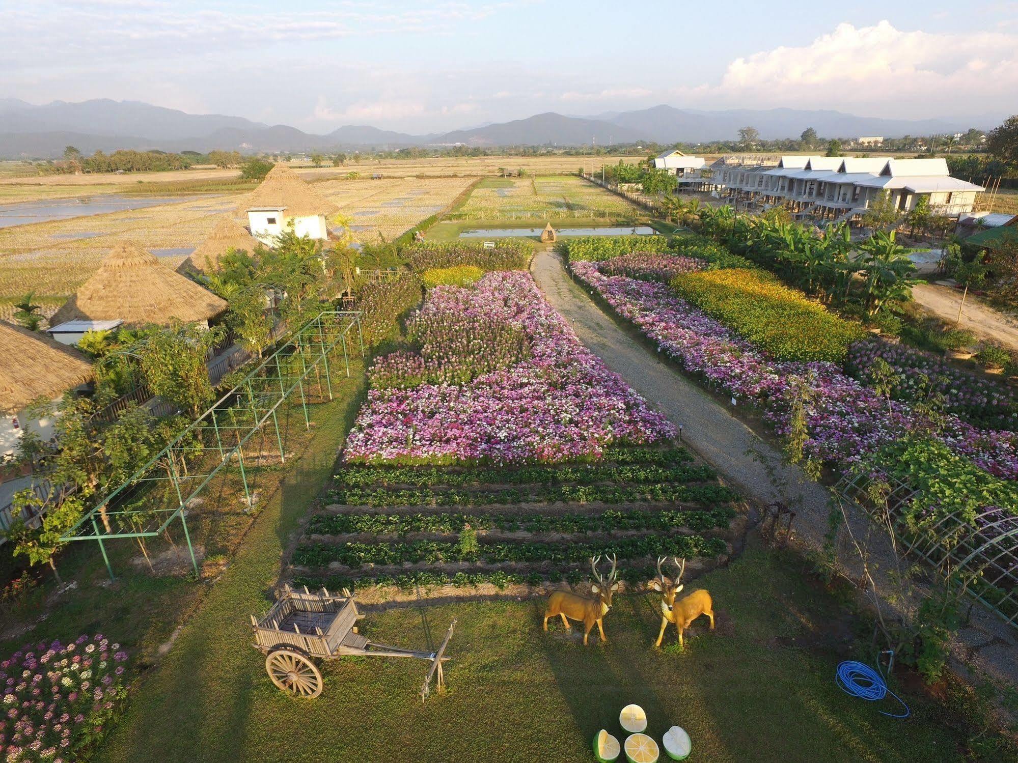 Phusanfah Resort Mae Taeng Eksteriør billede