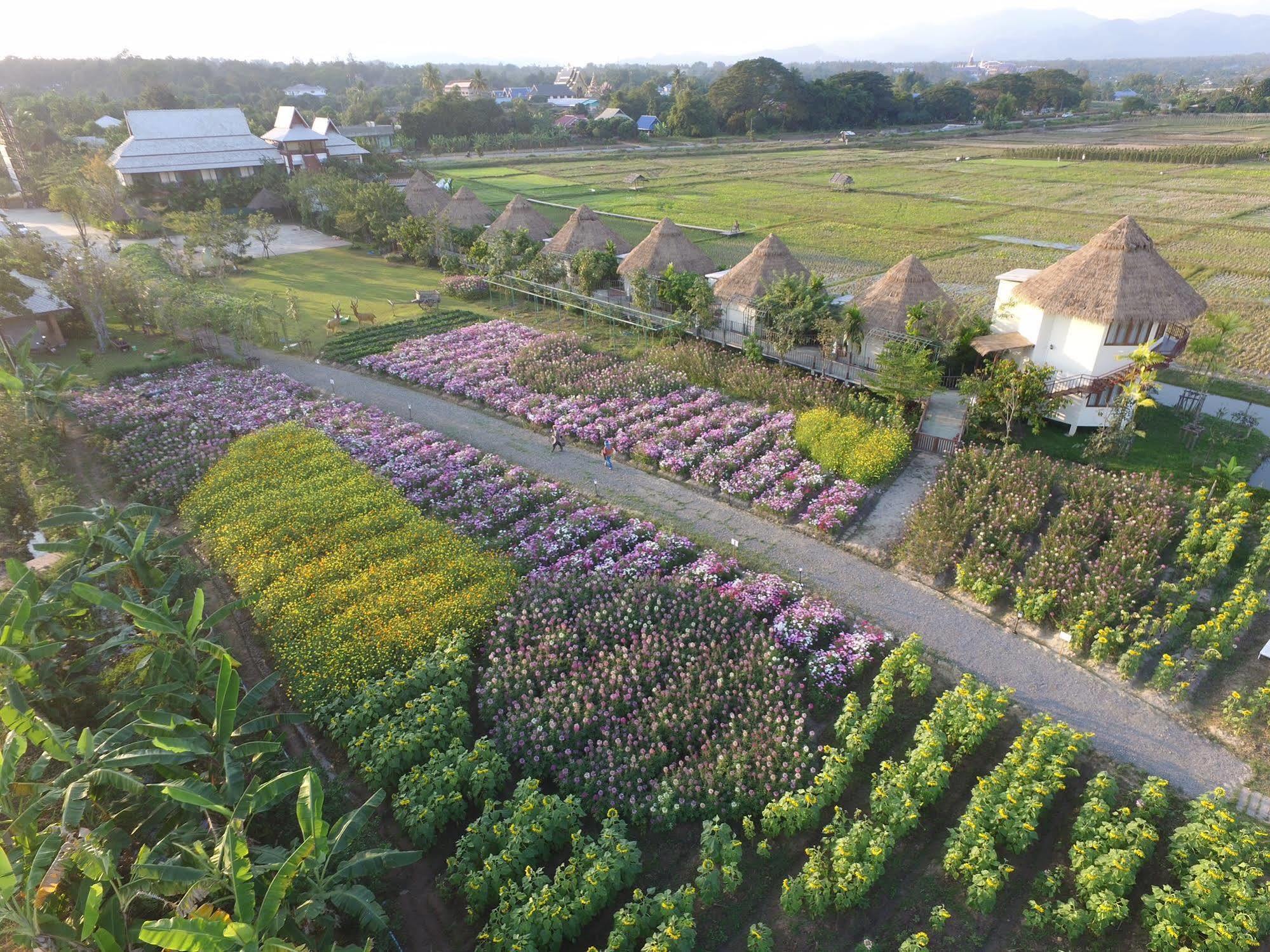 Phusanfah Resort Mae Taeng Eksteriør billede